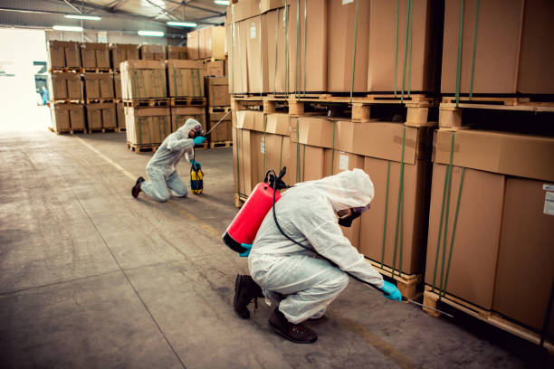 Best Pest Control Near Me  in Fort Shawnee, OH
