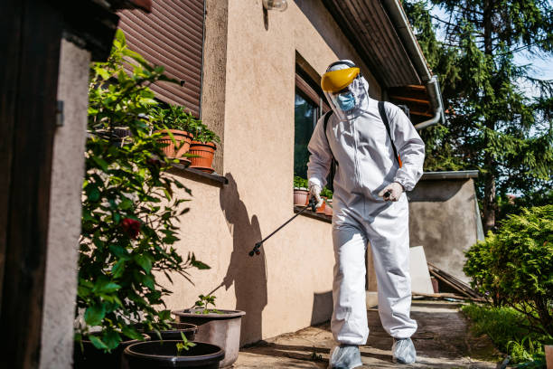 Best Exterminator Services  in Fort Shawnee, OH