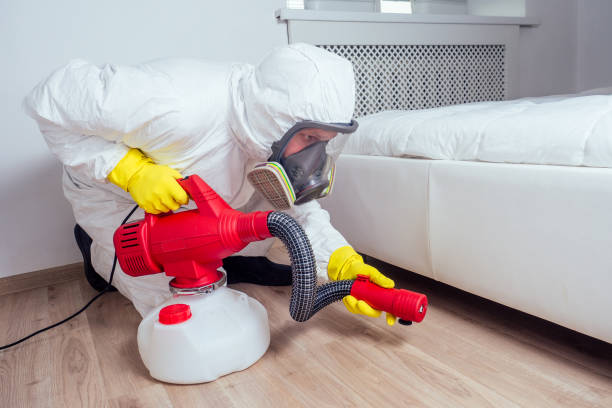 Best Pest Control Near Me  in Fort Shawnee, OH