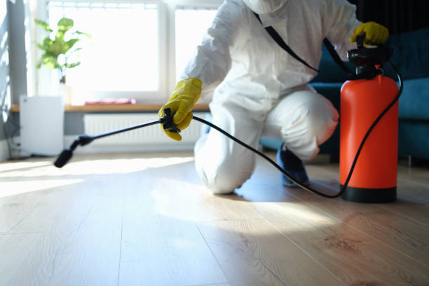 Best Flea Control Services  in Fort Shawnee, OH