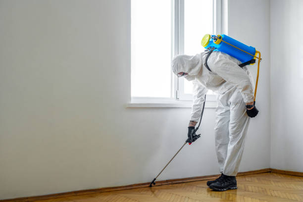 Best Pest Inspection Near Me  in Fort Shawnee, OH