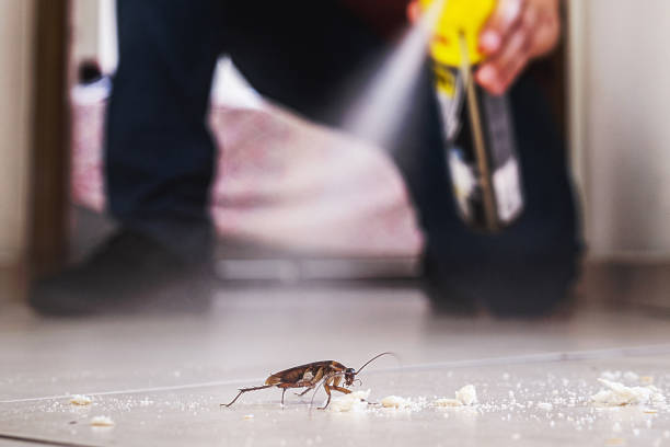 Best Cockroach Control Services  in Fort Shawnee, OH