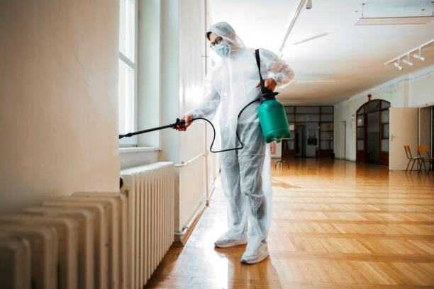 Best Local Pest Control Services  in Fort Shawnee, OH