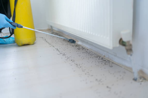 Best Best Pest Control Companies  in Fort Shawnee, OH
