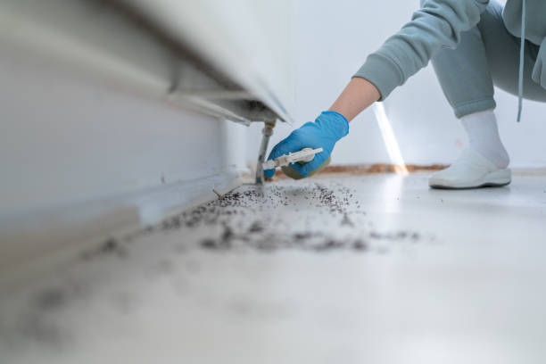 Best Best Pest Control Near Me  in Fort Shawnee, OH