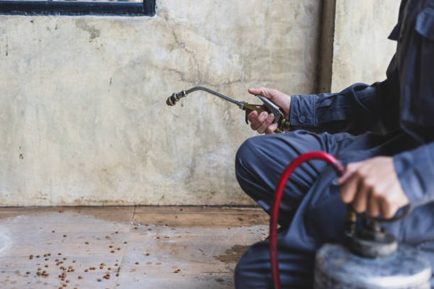 Best Emergency Pest Control  in Fort Shawnee, OH