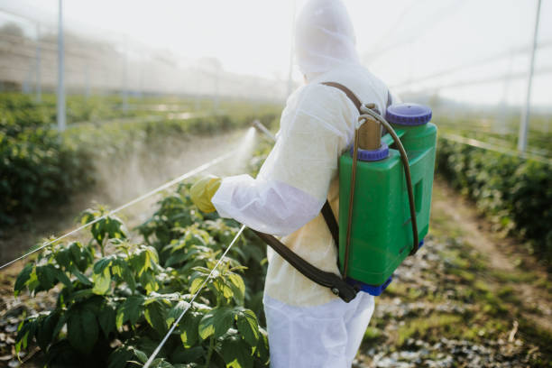 Best Mosquito Control Services  in Fort Shawnee, OH
